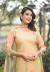 Banshree By Afsana Digital Printed Cambric Cotton Readymade Suits Wholesale Online